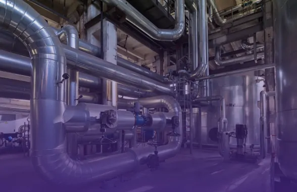 Cogeneration and trigeneration